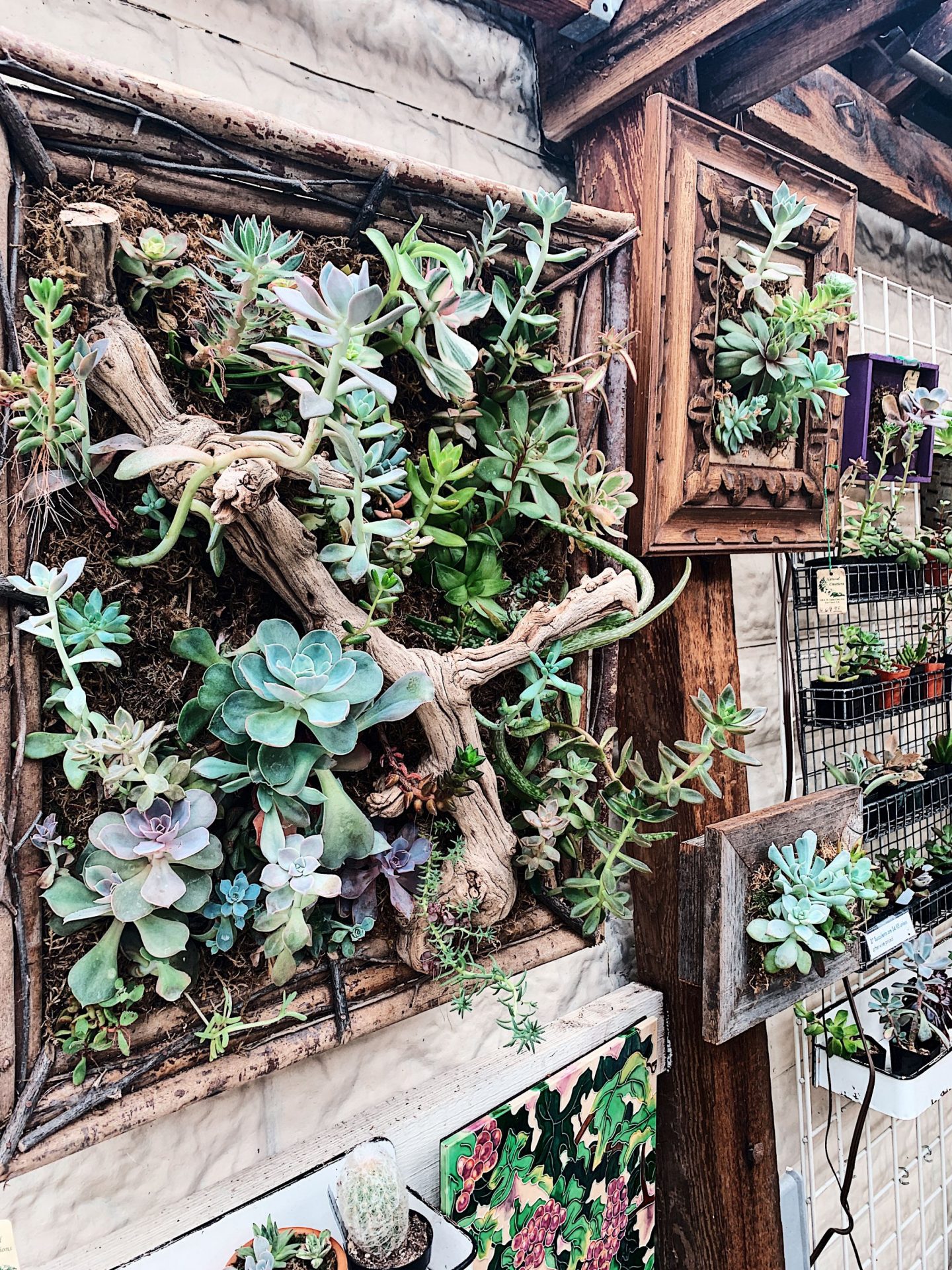 Wander The Bay Los Gatos Getaway Guide Downtown