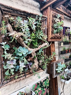 Wander The Bay Los Gatos Getaway Guide Downtown Los Gatos