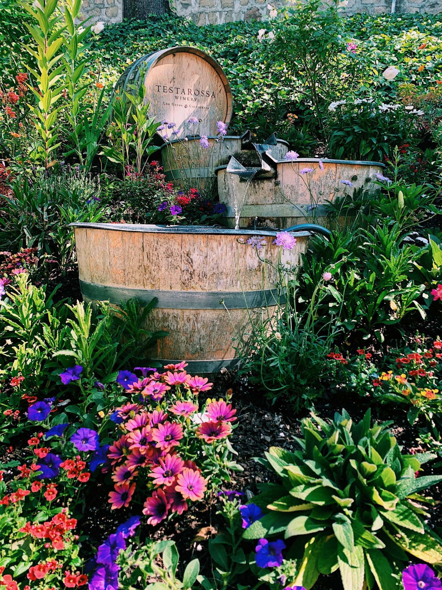 Wander The Bay Los Gatos Getaway Guide Testa Rossa Winery