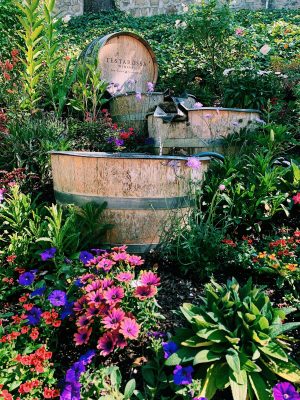 Wander The Bay Los Gatos Getaway Guide Testa Rossa Winery