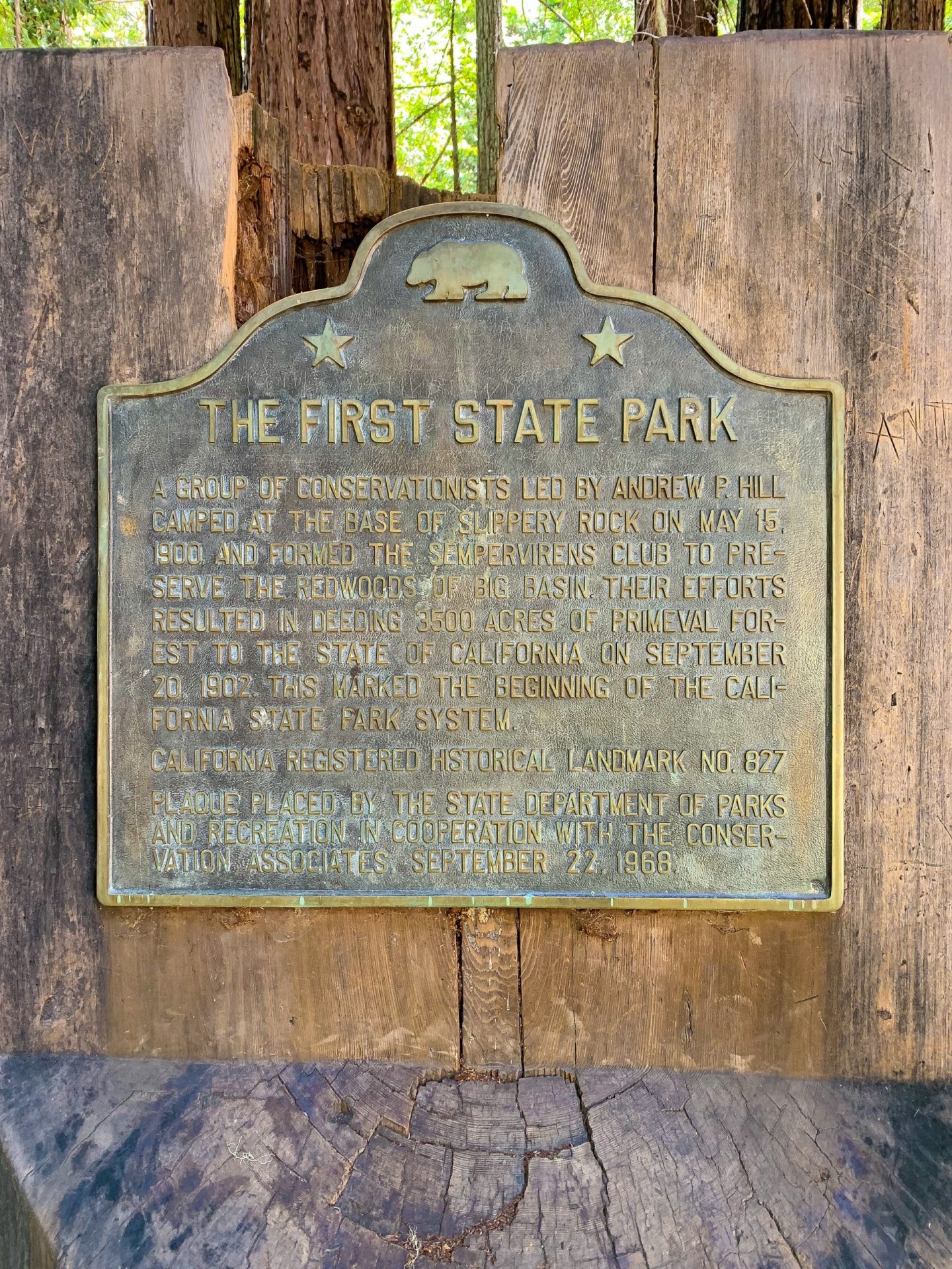 Big Basin State Park