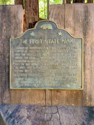 Big Basin Ca, California Day Trip, Santa Cruz Mountains