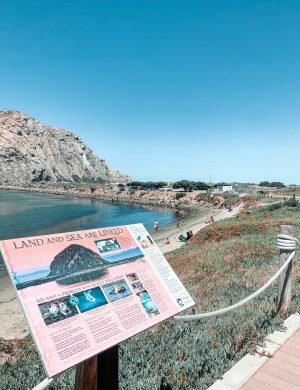 Morro Rock, Morro Bay