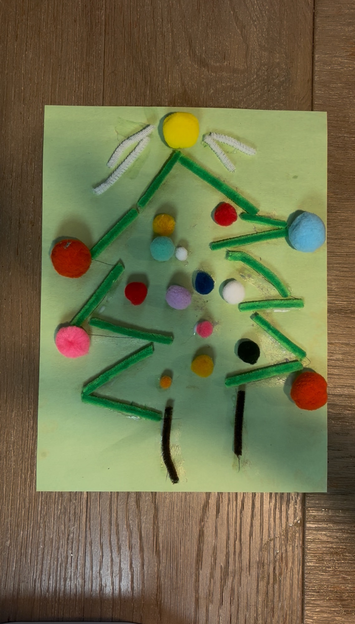 Pipe cleaner craft art 